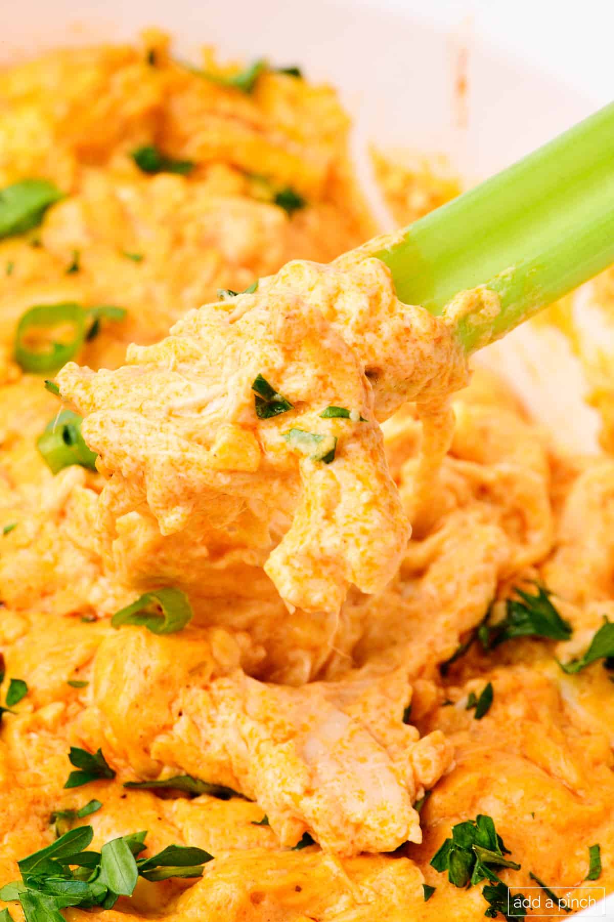 Celery dipped into cheesy buffalo chicken dip.