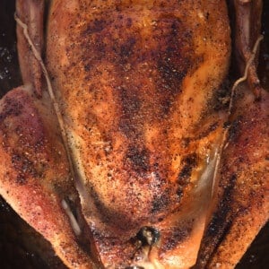 Golden roast chicken in a roasting pan.