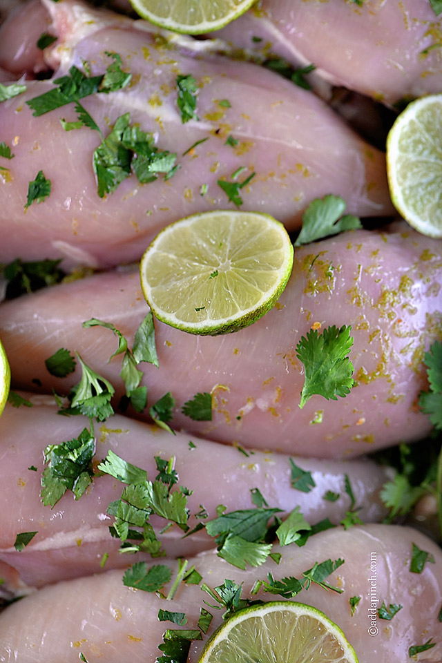 Uncooked chicken breasts are marinating in cilantro lime marinade with fresh cilantro and lime slices. 