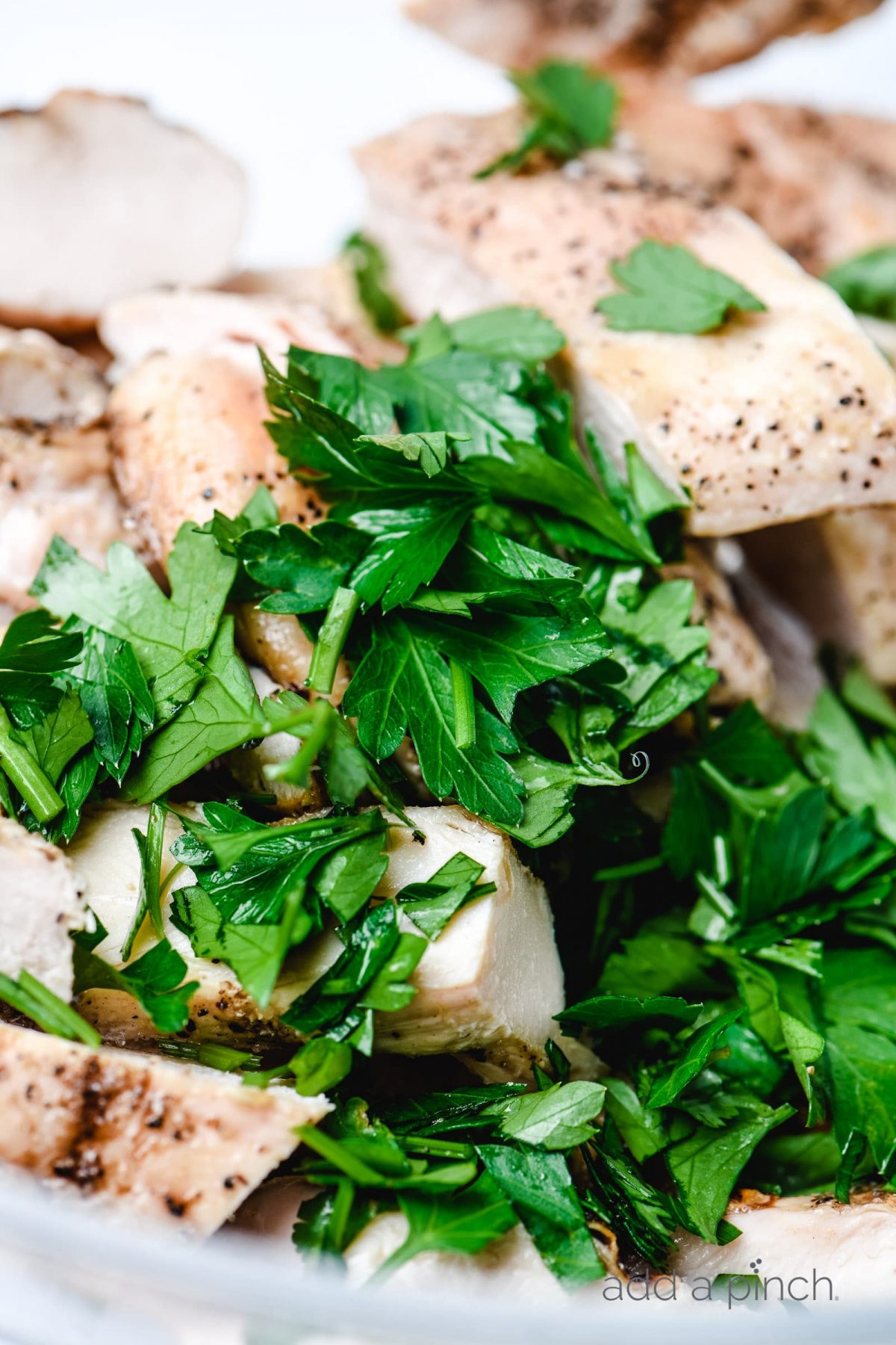 Cooked chicken topped with chopped fresh cilantro on a white platter.