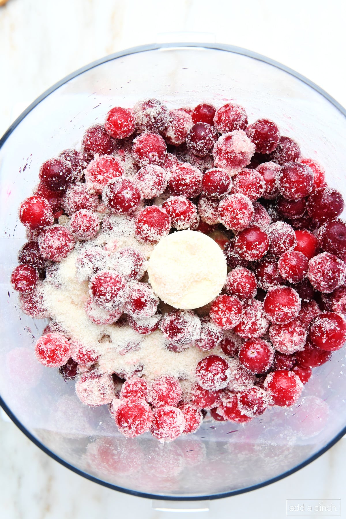 Food processor holds fresh cranberries and sugar.