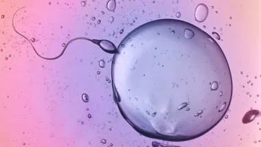 Everything You Need to Know About Egg Freezing