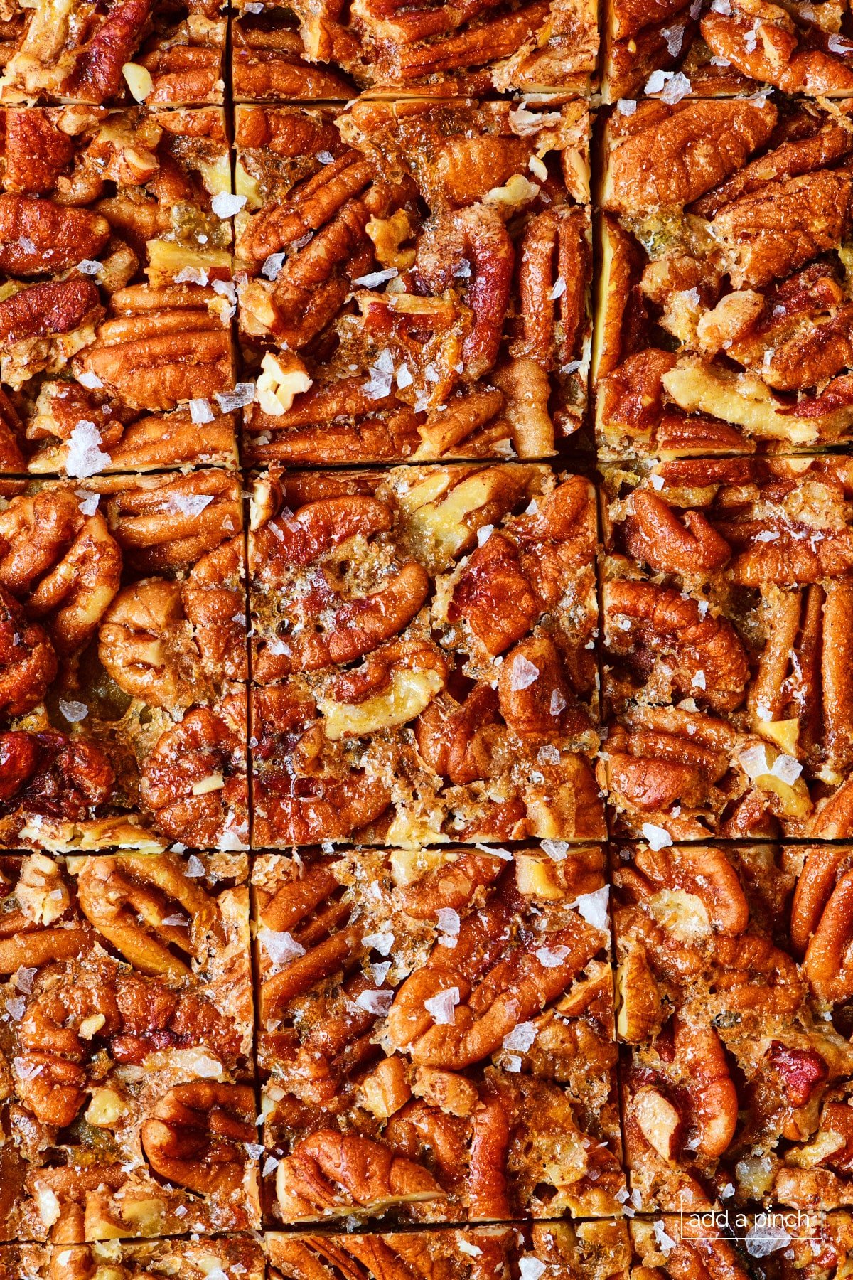 Pecan pie bars cut into individual squares sprinkled with flakey salt.