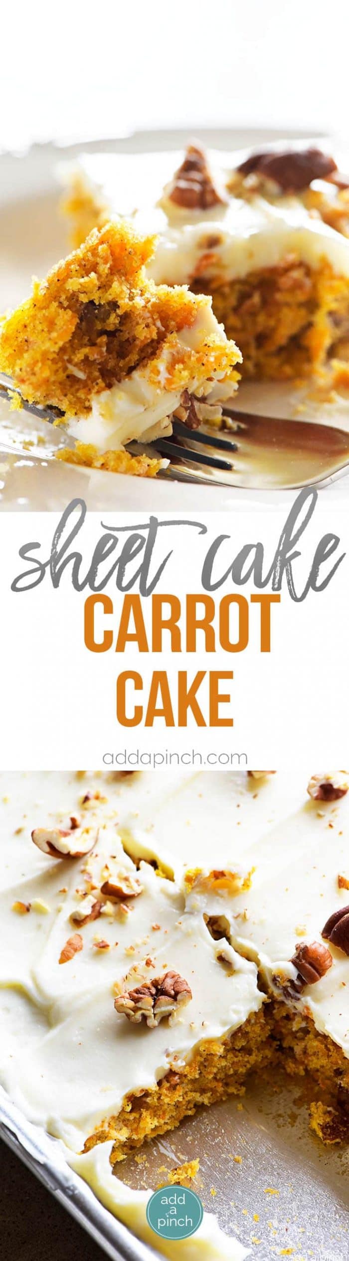 Easy Carrot Cake Sheet Cake Recipe - This Easy Carrot Cake Sheet Cake recipe comes together easily and bakes into a beautiful, delicious carrot cake! Topped with a fluffy cream cheese frosting, this carrot cake is one everyone asks for the recipe! // addapinch.com