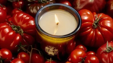 Flamingo Estate candle nestled in a bunch of tomatoes.